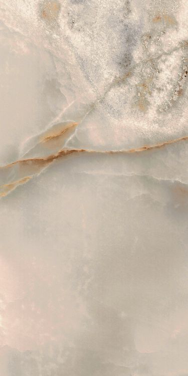 Reves Noisette Matte 12 x 24
